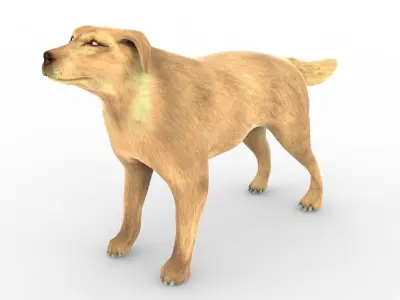 Animal - Dog 3D model