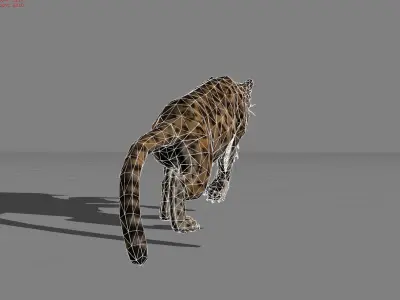 Jaguar Animal  Low-poly 3D model