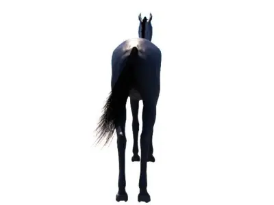 Black Horse    for real time and offline rendering  Low-poly 3D model