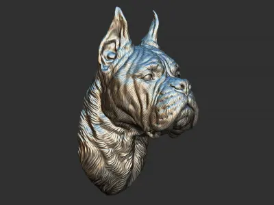 Deutscher Boxer head 3D print model