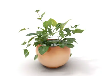 Green Foliage Planter model pack Low-poly 3D model