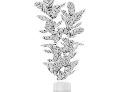Ficus lyrata in modern flower pot 3D model 2