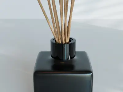 Room Fragrance Reed Diffusers 3D model