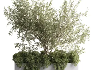 Concrete Box Plants on stand - indoor plant set 432 Low-poly 3D model