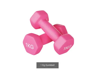 Dumbbells 1 2 3 and 4 KG 3D Model Pack