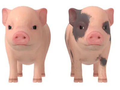 Lovely pig Lovely pig 3D model
