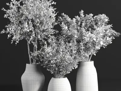 Indoor plant collection 22 3D model