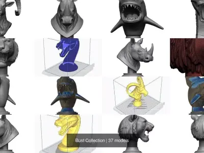 Bust Collection