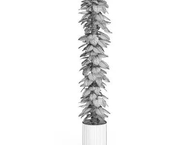 Tall Climbing Plant 3D model