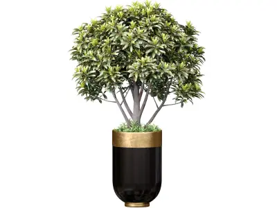 Decorative tree floral modern black Luxury pot vase Art Deco  3D model