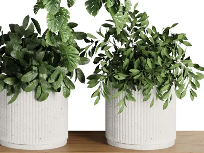 Plants on Shelf SetV4 3D model