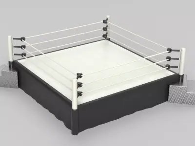 Wrestling Ring 3D model
