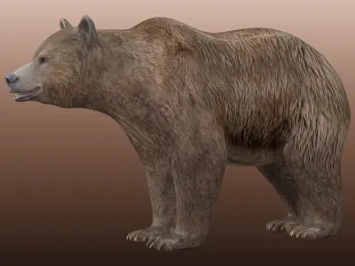 Grizzly Bear  Low-poly 3D model