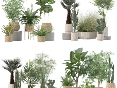 20 Photorealistic Flowers for Interiors - set 214 216 218 219 3D Model Collection