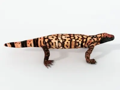 Gila Monster Low-poly 3D model
