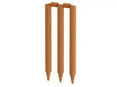 Cricket Wicket 3D model