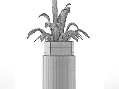 House Plant 26 3D model