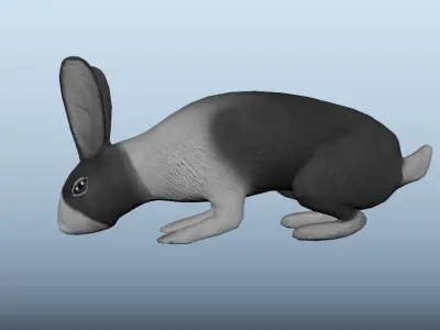 Rabbit Animated VFX Grace Low-poly 3D model