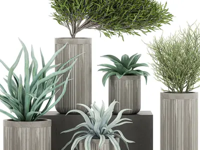 Decorative plants in a concrete flowerpots 802 3D model