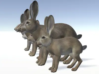HARE FAMILY Low-poly 3D model