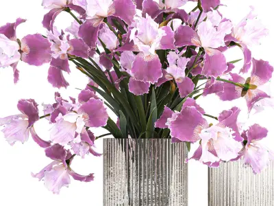 Solemn bouquet of purple Iris flowers in a glass vase 379 3D model