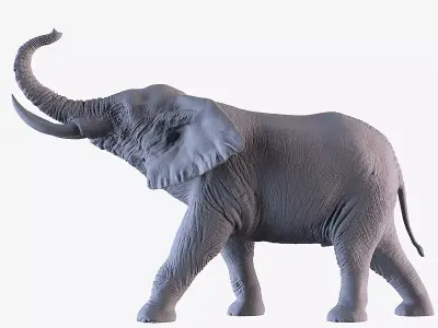 Elephant 3D print model shop