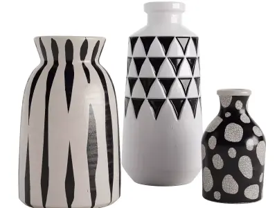 Black And White Vase 3D model