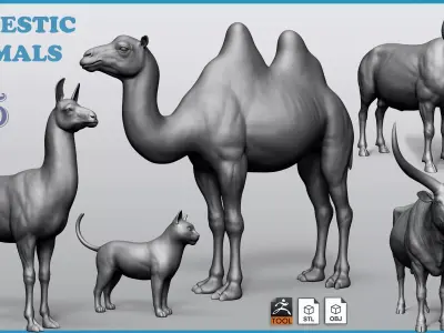 Domestic animal collection 5 animals 3D model