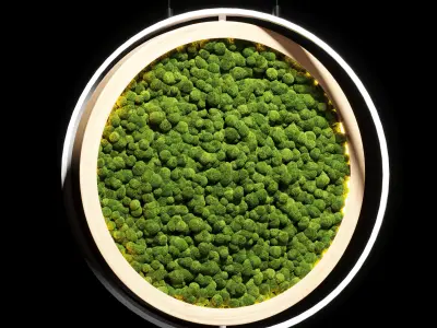 hanging garden and hanging moss in wooden frame 218 3D model