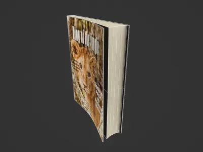 3D soft cover books Low-poly 3D model Low-poly 3D model