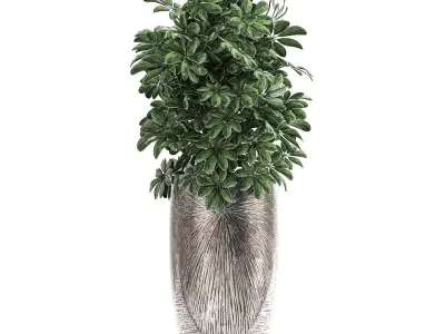 Collection of decorative plants in luxury flowerpots 793 3D model