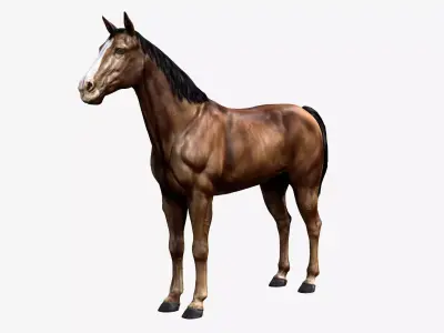 Horse Low-poly 3D model