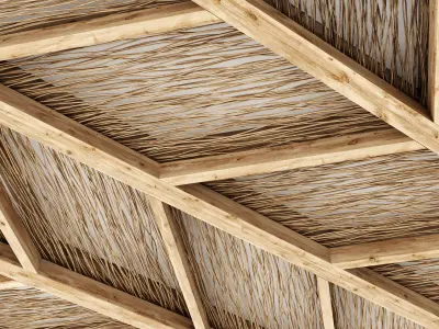 Ceiling branch thin angle n1 3D model