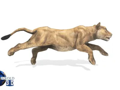 Lion Female Rigged Animated 3D Model Low-poly 3D model