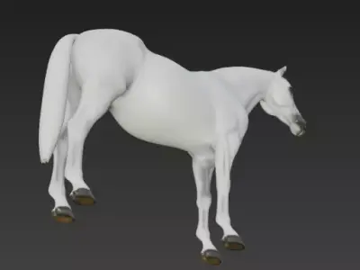 White Horse 3d model 3D model