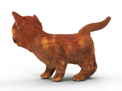 Red Cute hair  fur Cat Animated Low-poly 3D model
