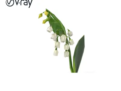 Lily of the Valley Floral Arrangement model pack Low-poly 3D model