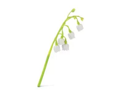 White Lily Flower model pack Low-poly 3D model