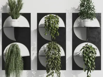 wall plant set Indoor plant 324 plants in on a shelf Low-poly 3D model
