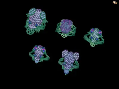 Toad and Frog Gold rings NN082 3D print model