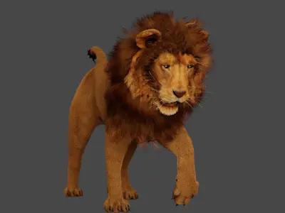 Lion King 3D model