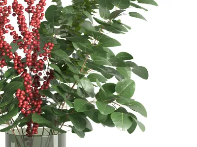 Decorative Plants 01 3D model