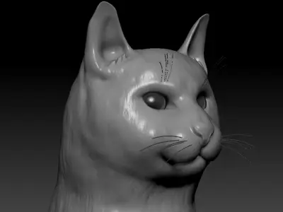Cat head 3D model