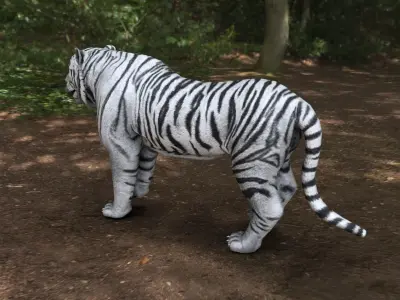 white tiger  Low-poly 3D model
