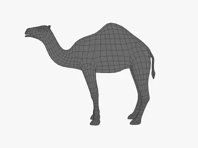 Camel Low-poly 3D model
