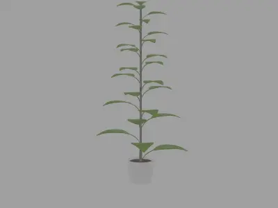 Small decorative pot tree 3D model
