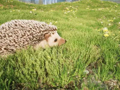 Hedgehog for Vray and Octane 3D model