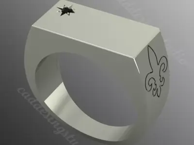 Ring bi154 3D print model