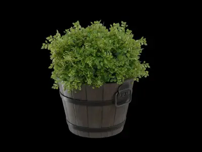 Wooden Bucket with Plant Low-poly 3D model
