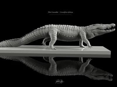 Nile Crocodile Walking Pose 3D Model Decimated 3D model